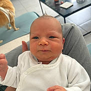 Achille a rejoint le concours — aidez-le/la à gagner de superbes lots ! baby, infant, white_clothing, person, face, hand, indoor, table, can, dog, floor, tiles, tattoo, furniture, curious, seated, human, living_room, casual, expression