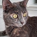Emma R.
