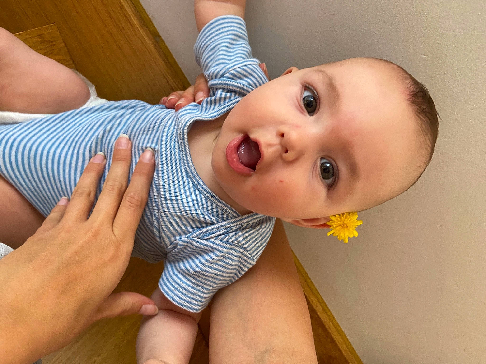 Célia participe au concours pour gagner de l'argent avec cette photo : arm, blue, cheek, chest, eye, finger, fun, green, hair, hairstyle, head, human, human_body, leg, lip, people, person, product, vertebrate, wood