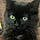 Binx