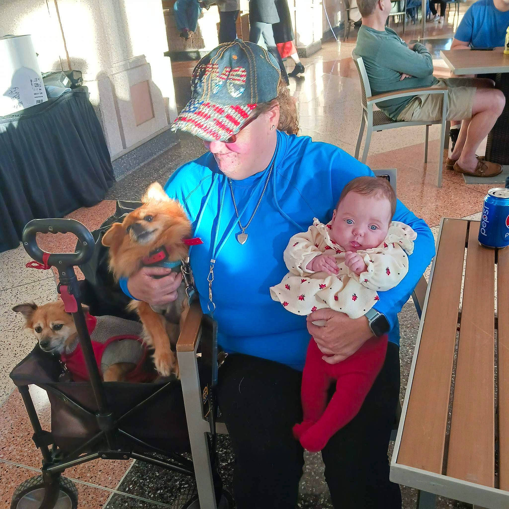 Astrid is registered to the contest to win money with this photo: baby, baseball_cap, blue, carnivore, chair, child, companion_dog, curtain, dog, event, fun, furniture, hat, lap, leg, leisure, person, shorts, sitting, t_shirt