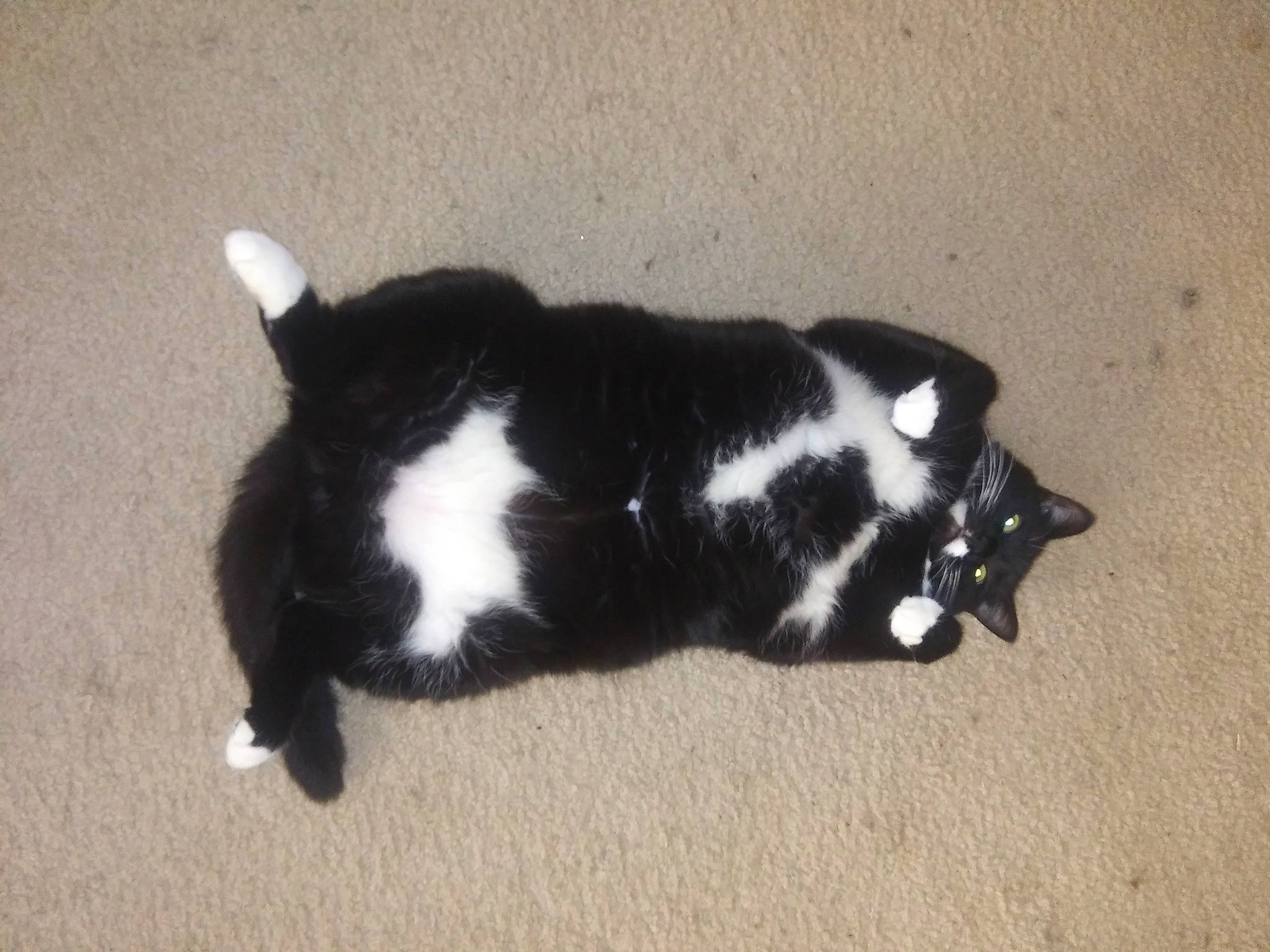 Princess Thor Of Estonia