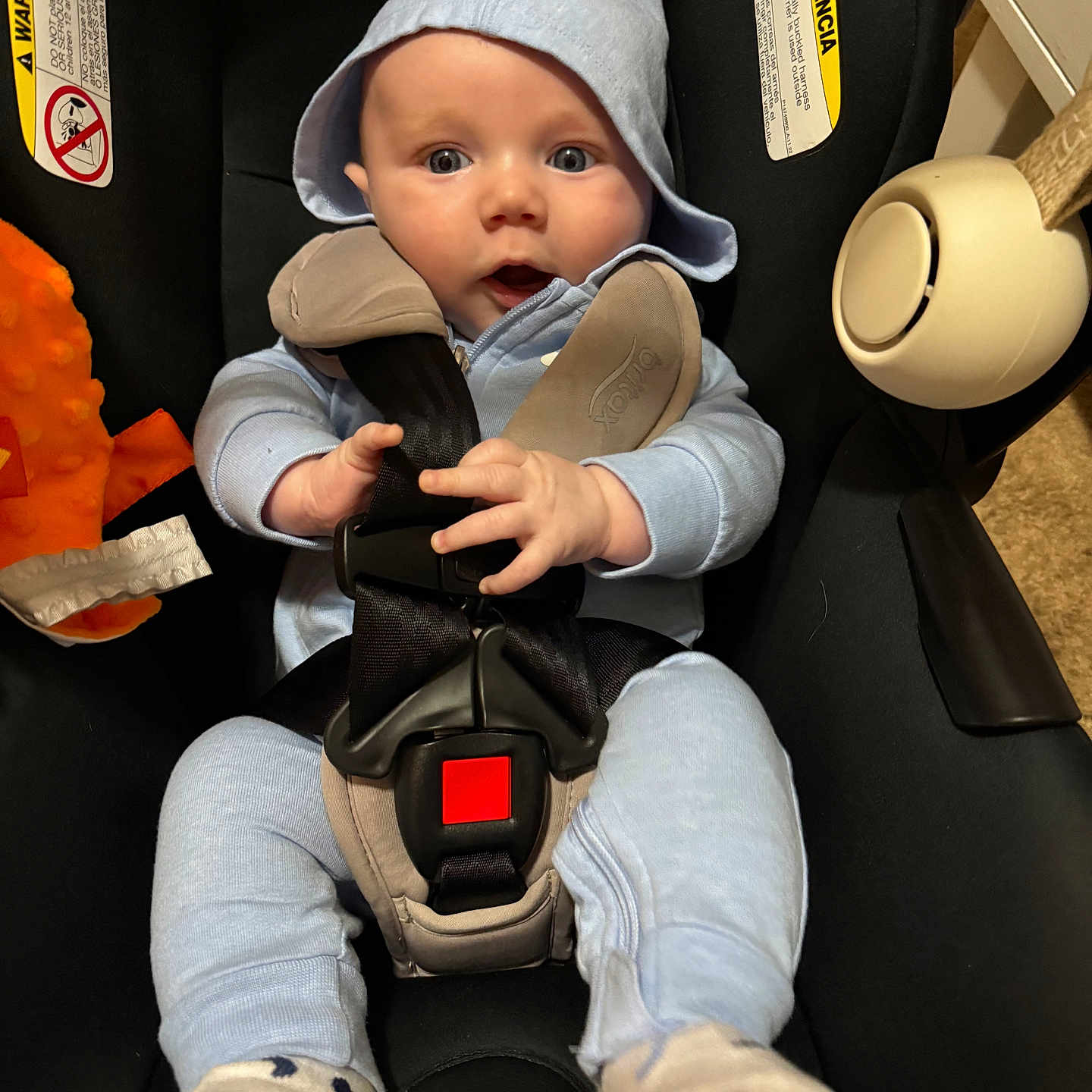 Soulstyn is registered to the contest to win money with this photo: baby, blue_hoodie, blue_pants, car_seat, child, comfort, cute, expression, face, grip, indoor, infant, orange_toy, person, plush_toy, safety_harness, seatbelt, socks, wide_eyes, young_child