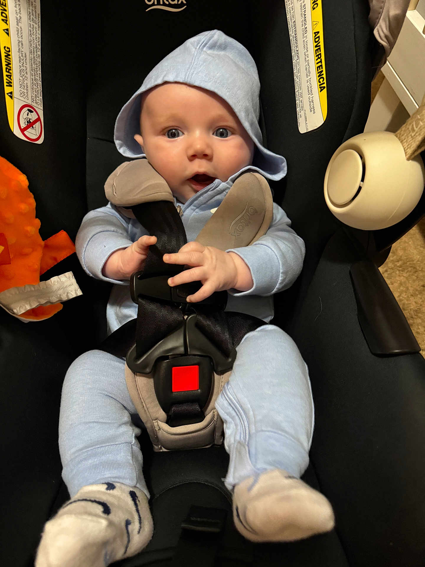 Soulstyn is registered to the contest to win money with this photo: baby, infant, car_seat, child, blue_hoodie, blue_pants, socks, safety_harness, seatbelt, plush_toy, orange_toy, indoor, cute, grip, wide_eyes, face, person, young_child, comfort, expression