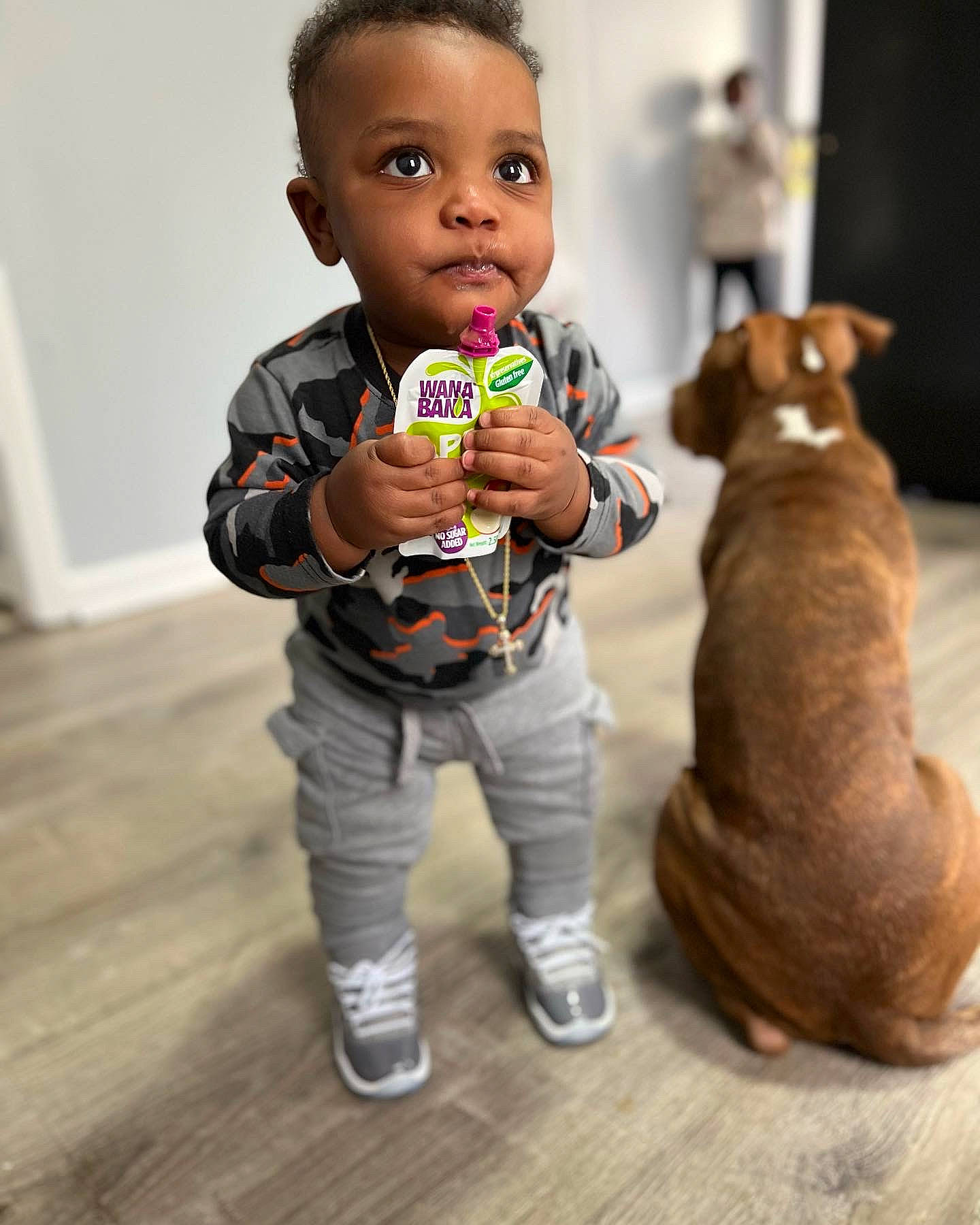 Makhi joined the competition — help win amazing prizes! baby, baby_toddler_clothing, carnivore, child, companion_dog, dog, dog_breed, face, fawn, flooring, fun, fur, gesture, happy, person, sitting, sporting_group, t_shirt, toddler, toy