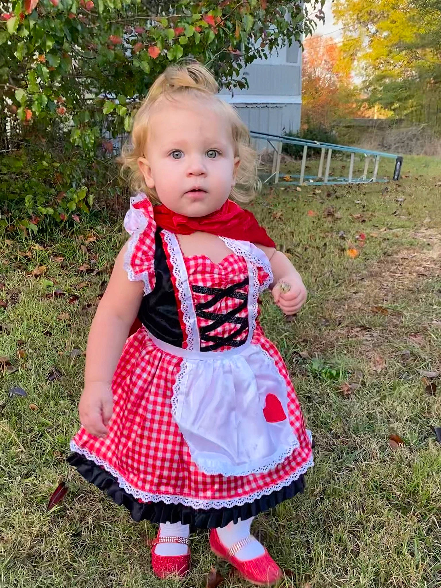 Araya is registered to the contest to win money with this photo: baby, baby_toddler_clothing, child, day_dress, dress, event, garden, grass, happy, magenta, one_piece_garment, pattern, people_in_nature, person, pink, plant, sitting, sleeve, toddler, tree