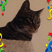 Petey is registered to the contest to win money with this photo: