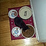 Mittens is registered to the contest to win money with this photo: