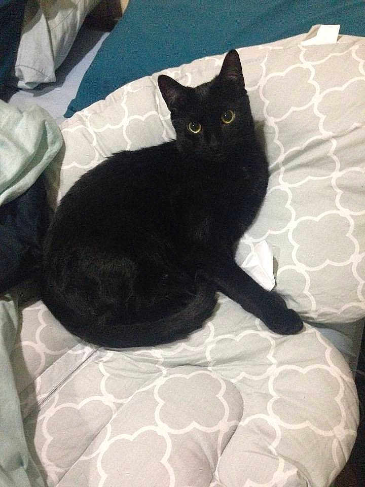 Mittens
