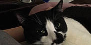 Booboo joined the competition — help win amazing prizes!