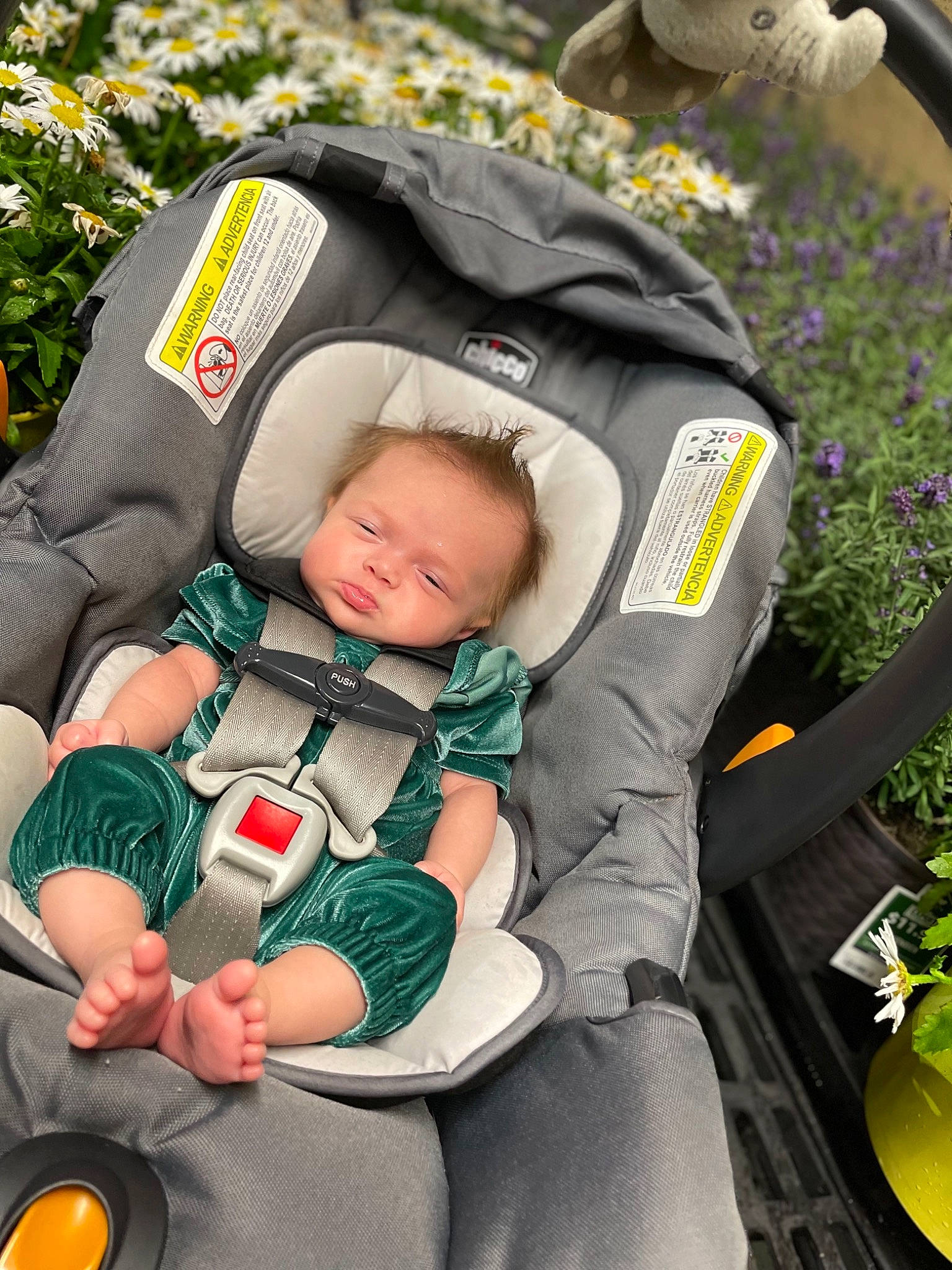 Octavia joined the competition — help win amazing prizes! baby, baby_carriage, baby_products, baby_toddler_clothing, child, comfort, facial_expression, finger, fun, grass, green, hand, head, lap, motor_vehicle, person, plant, product, sitting, toddler