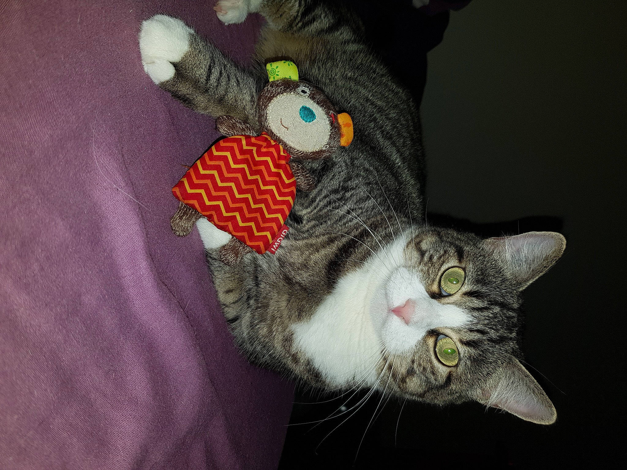 Sockette a rejoint le concours — aidez-le/la à gagner de superbes lots ! beanie, cap, carnivore, cat, domestic_short_haired_cat, fashion_accessory, felidae, fur, grey, pattern, plush, sleeve, small_to_medium_sized_cats, stuffed_toy, tail, thread, toy, whiskers, wool, woolen