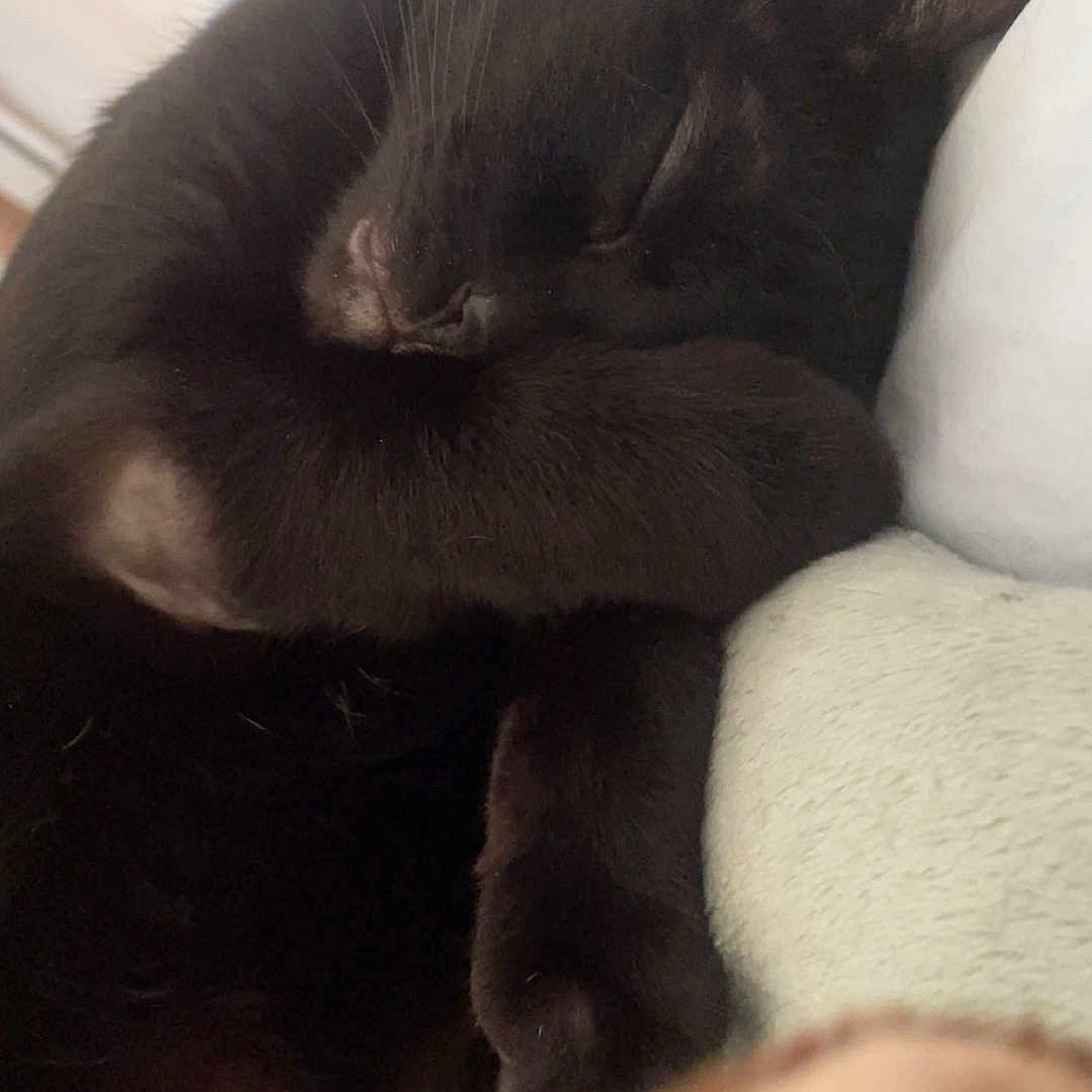 Ragnar