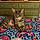 Lilly