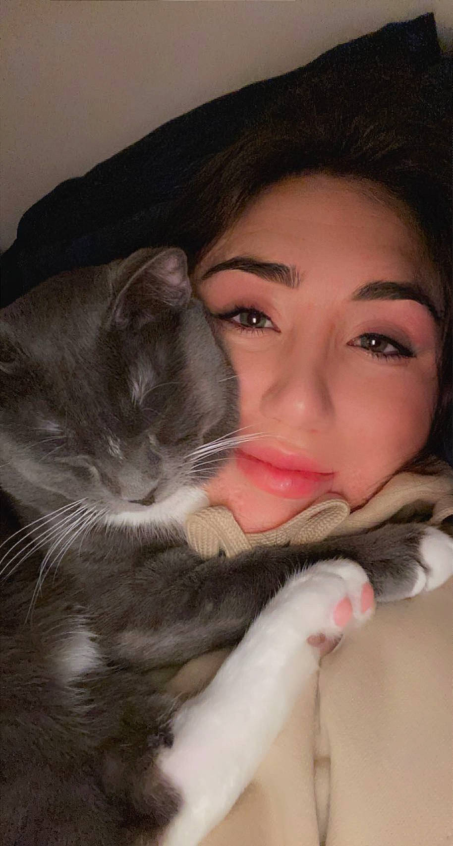 Brooklyn is registered to the contest to win money with this photo: black_hair, carnivore, cat, comfort, ear, eyelash, felidae, gesture, happy, iris, jaw, lip, lipstick, mouth, neck, nose, skin, small_to_medium_sized_cats, smile, whiskers