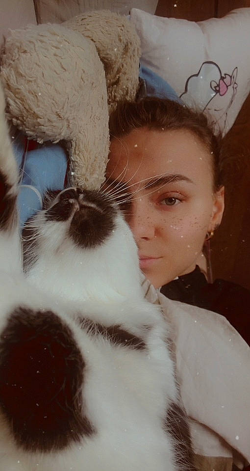 Dobby participe au concours pour gagner de l'argent avec cette photo : carnivore, cat, felidae, fur, nose, small_to_medium_sized_cats, whiskers