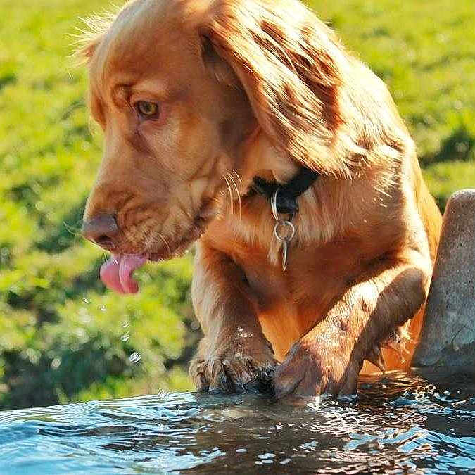 Rogan is registered to the contest to win money with this photo: