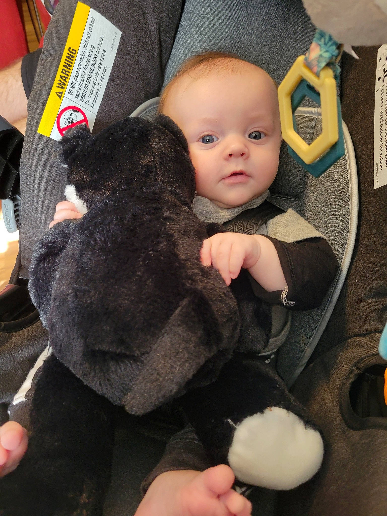 Preston joined the competition — help win amazing prizes! baby, baby_products, baby_toddler_clothing, baby_toys, car_seat, child, comfort, companion_dog, doll, finger, fur, gesture, nail, person, plush, sitting, stuffed_toy, thumb, toddler, toy