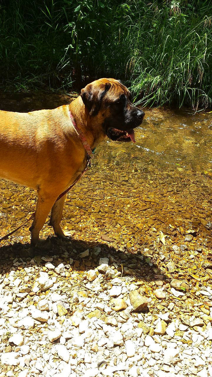 Leilah is registered to the contest to win money with this photo: