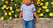 Davier is registered to the contest to win money with this photo: child, toddler, portrait, outdoor, garden, flowers, marigolds, dinosaur_hat, blue_hat, smiling, standing, facial_expression, gray_shirt, jeans, sneakers, sidewalk, stone_wall, plants, daylight, photography