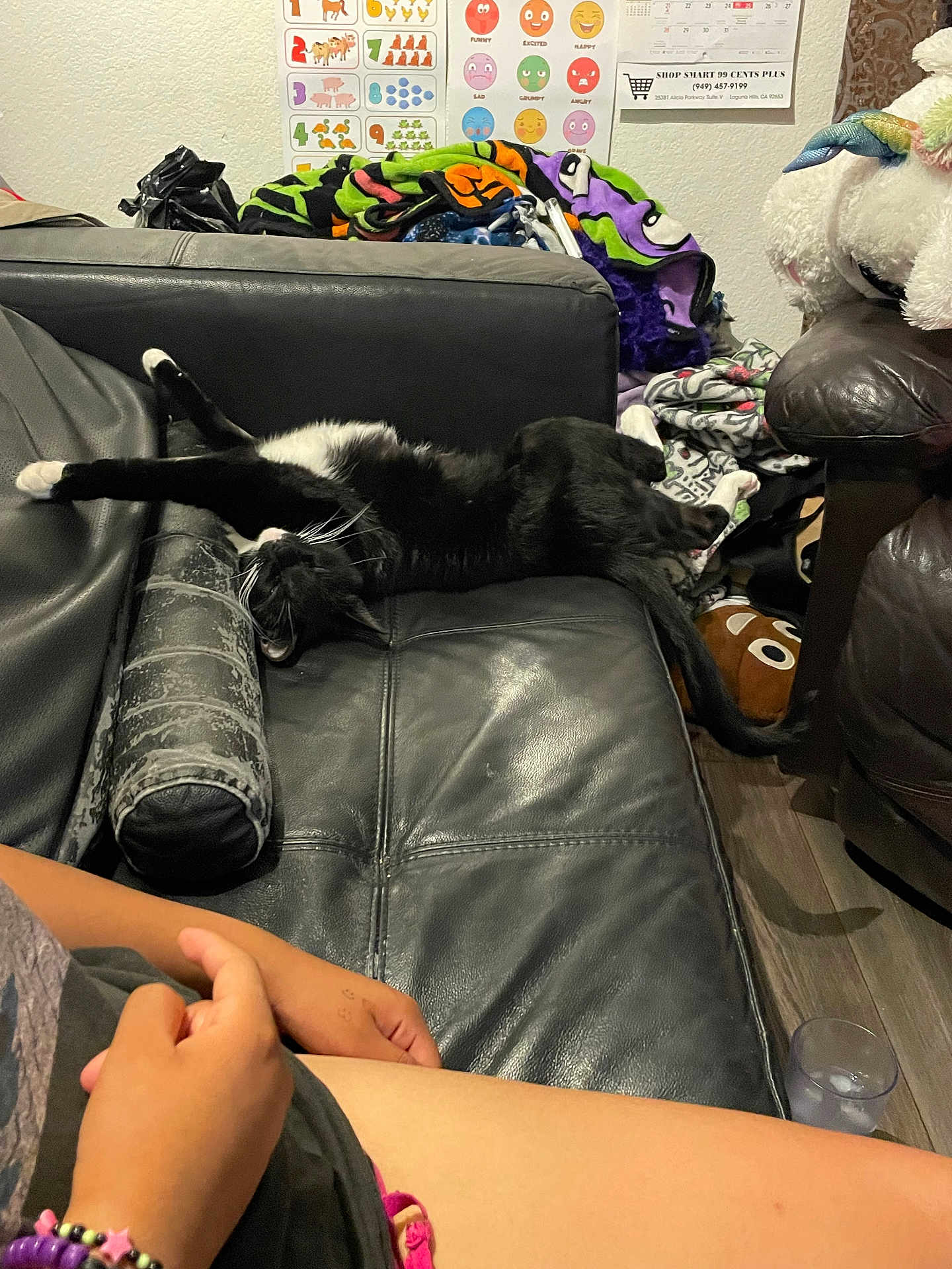 Luna