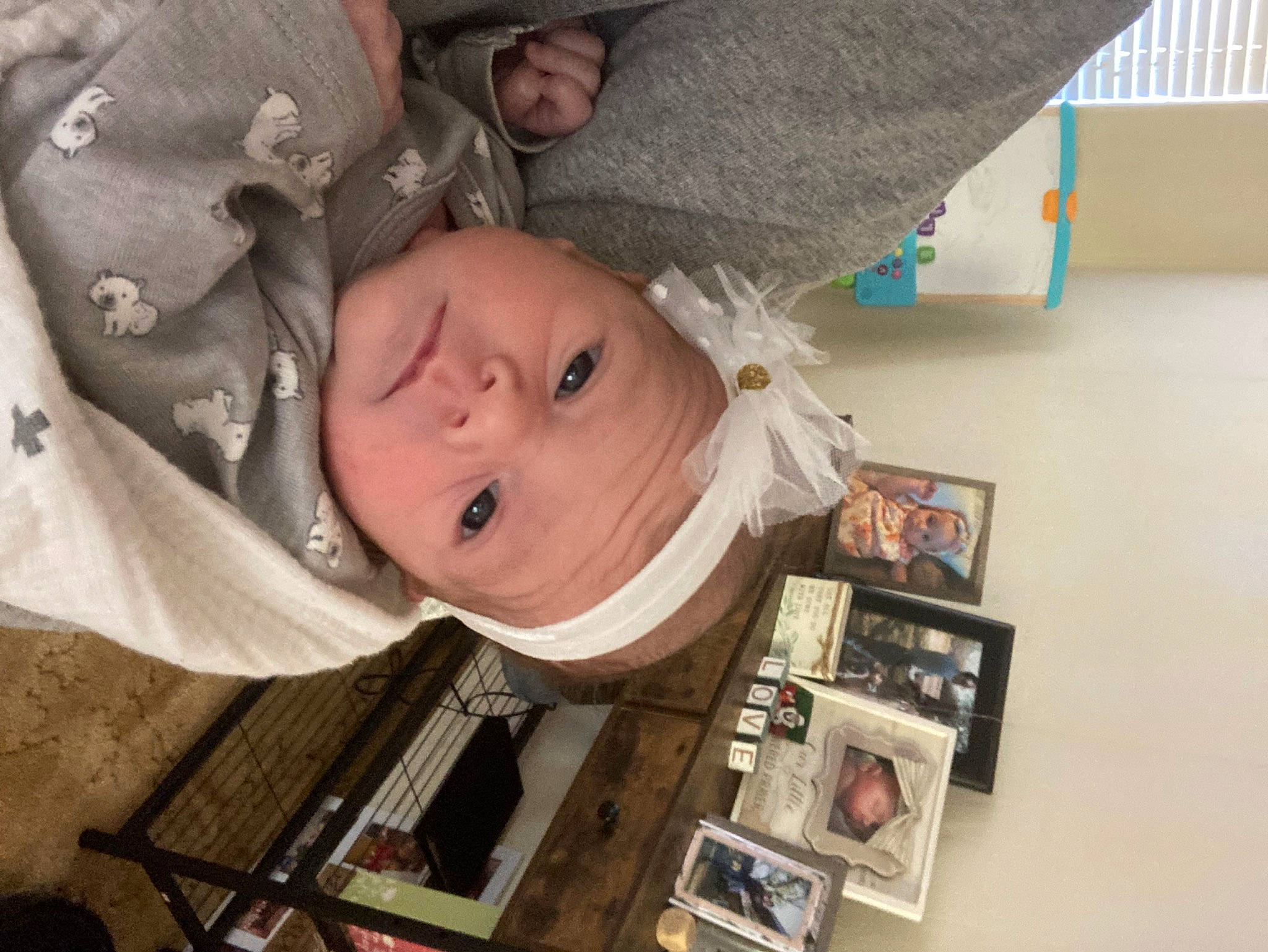 Harper joined the competition — help win amazing prizes! baby, baby_toddler_clothing, cheek, child, comfort, eyebrow, eyelash, fun, happy, headwear, iris, nose, person, room, skin, toddler, tree