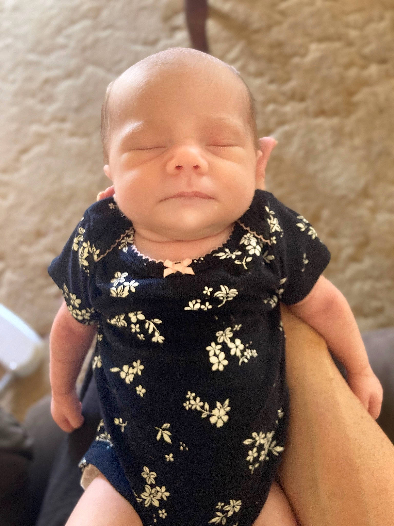 Harper joined the competition — help win amazing prizes! baby, baby_toddler_clothing, cheek, child, collar, comfort, embellishment, eye, grass, happy, iris, neck, pattern, person, sitting, skin, sleeve, toddler