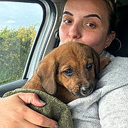 Bandit participe au concours pour gagner de l'argent avec cette photo : puppy, dog, person, woman, face, portrait, cuddling, car, vehicle, passenger_seat, towel, blanket, hand, ring, sunglasses, window, outdoor, trees, cute, sleepy