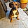 Bandit