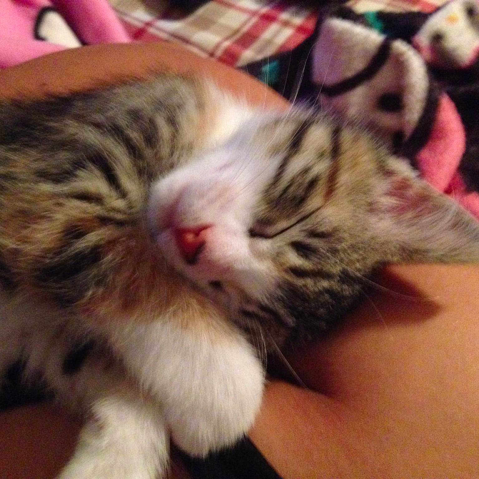 Eowyn is registered to the contest to win money with this photo: