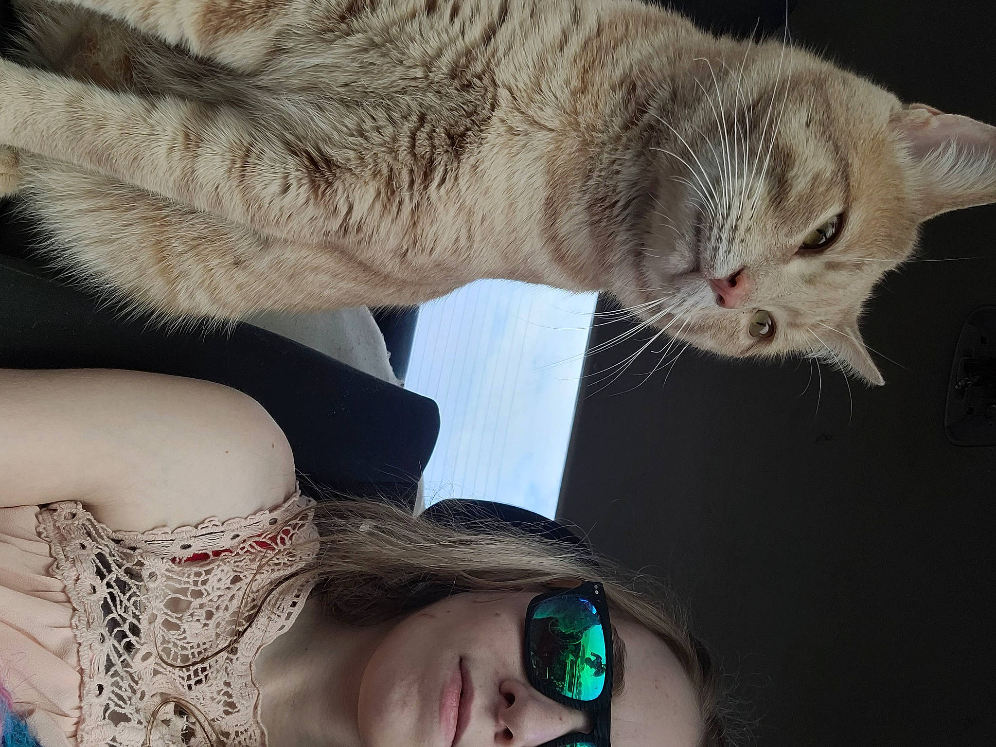 Charlie a rejoint le concours — aidez-le/la à gagner de superbes lots ! audio_equipment, beauty, carnivore, cat, chest, domestic_short_haired_cat, eyelash, eyewear, fawn, felidae, gesture, hand, organ, paw, skin, small_to_medium_sized_cats, sunglasses, tail, vision_care, whiskers