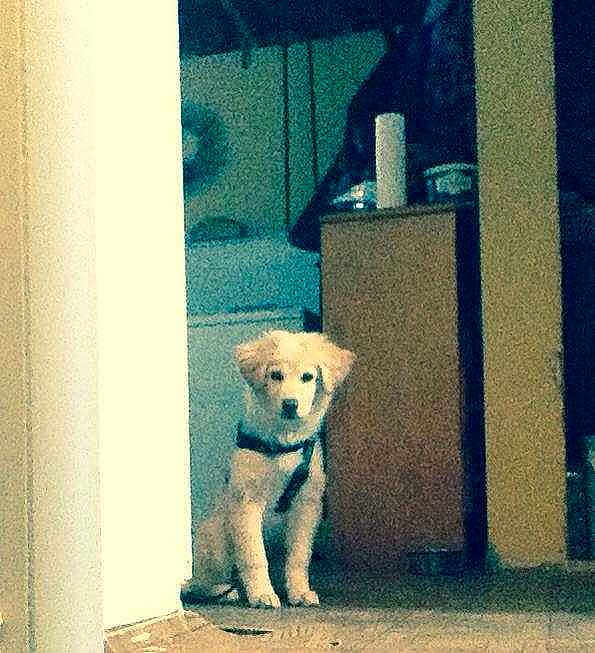 Sam