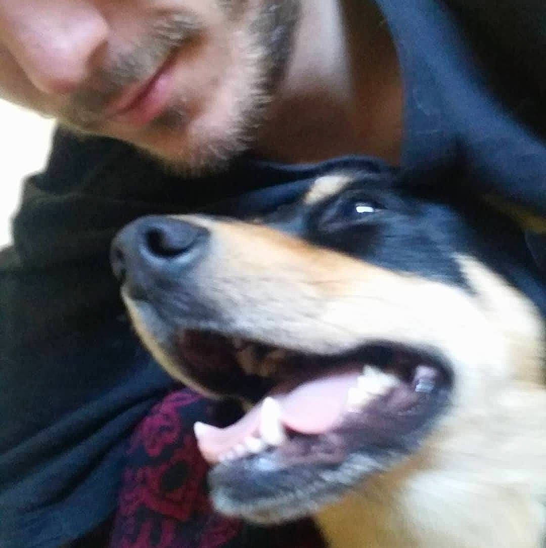 Lina a rejoint le concours — aidez-le/la à gagner de superbes lots ! bernese_mountain_dog, canidae, carnivore, companion_dog, dog, dog_breed, jaw, mammal, mouth, nose, puppy_love, rare_breed_dog, selfie, snout, tongue, vertebrate