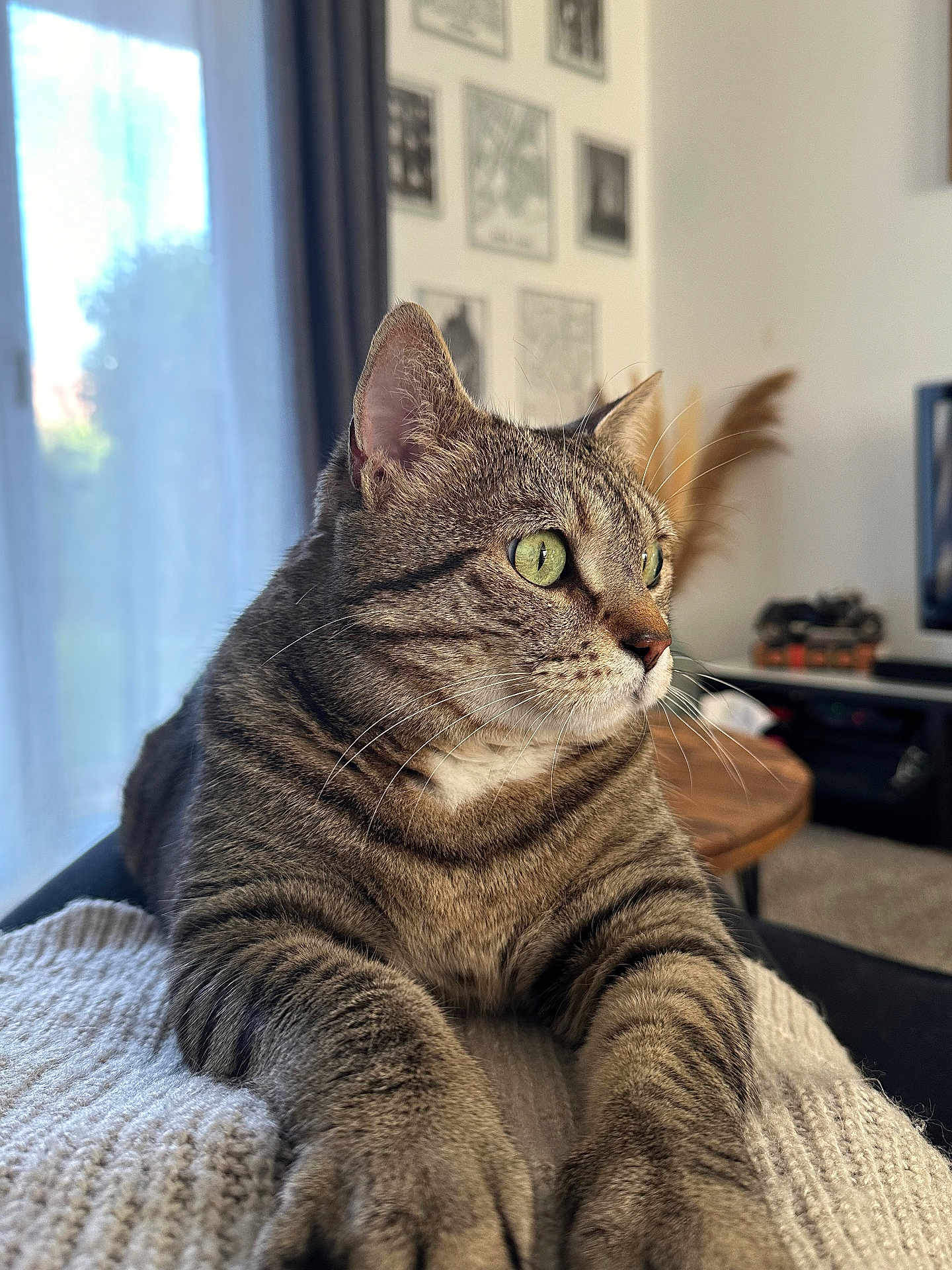 Pépère