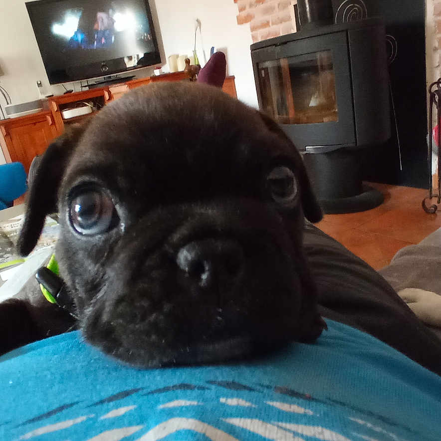 Romeo
