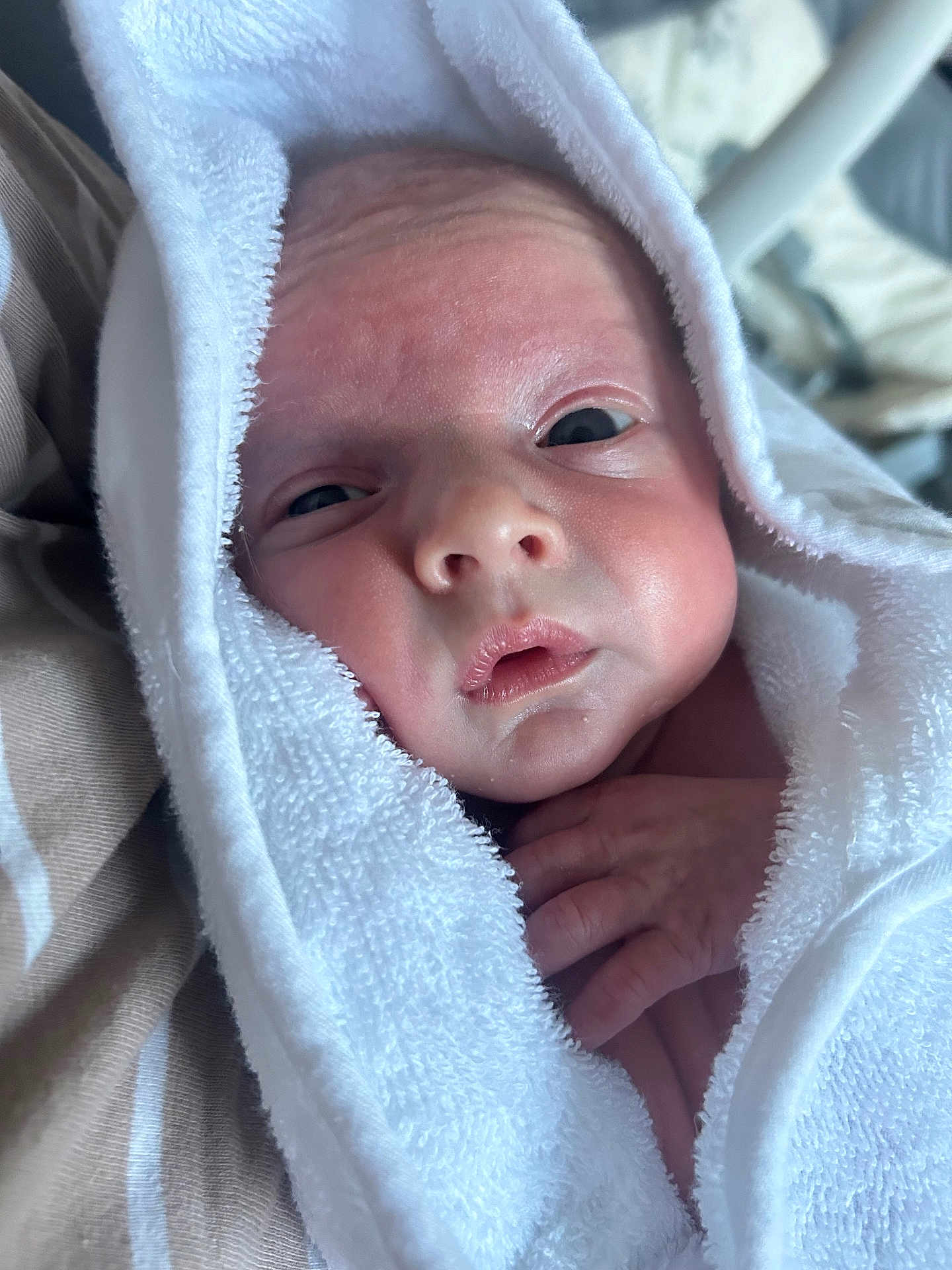 Louie joined the competition — help win amazing prizes! baby, infant, face, newborn, towel, wrapped, hand, skin, closeup, portrait, cute, soft, warm, resting, eyes, expression, indoors, blanket, peaceful, young