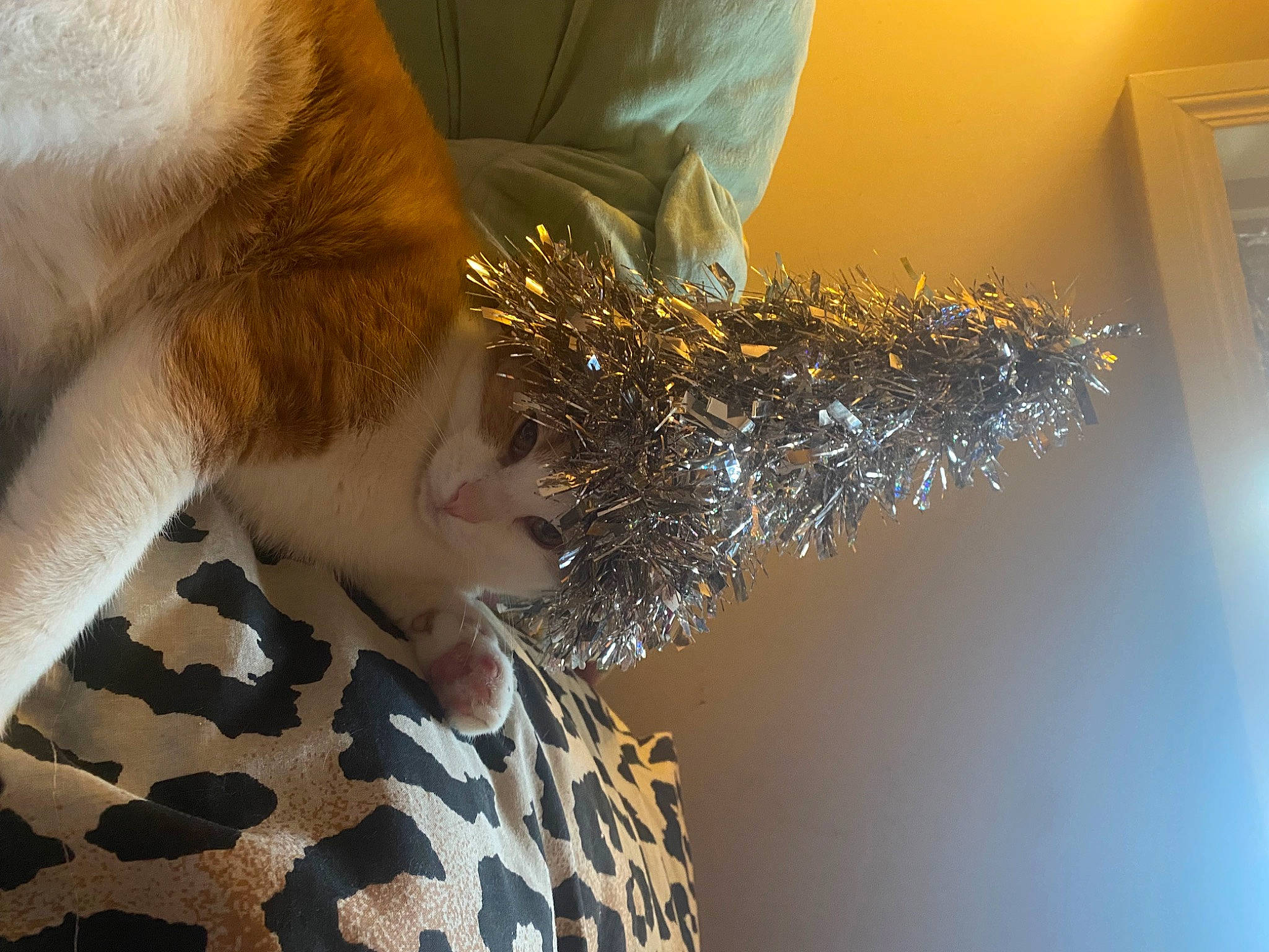 Jax is registered to the contest to win money with this photo: blond, eyewear, fashion_accessory, fashion_design, freezing, fun, fur, gesture, human_leg, pattern, room, sunglasses, sunlight, textile, water, winter, wood