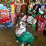 dog, christmas_sweater, holiday, presents, gift_bags, carpet, nutcracker, decorations, smiling, indoor, festive, celebration, seasonal, wrapped_gifts, christmas_tree, ornaments, cheerful, pet, happy, holiday_decor