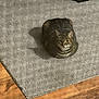 Maui is registered to the contest to win money with this photo: cat, tabby, loaf, carpet, rug, indoor, pet, feline, striped, floor, wood_floor, shoe, sneaker, domestic_animal, cozy, resting, animal, cute, home, relaxed