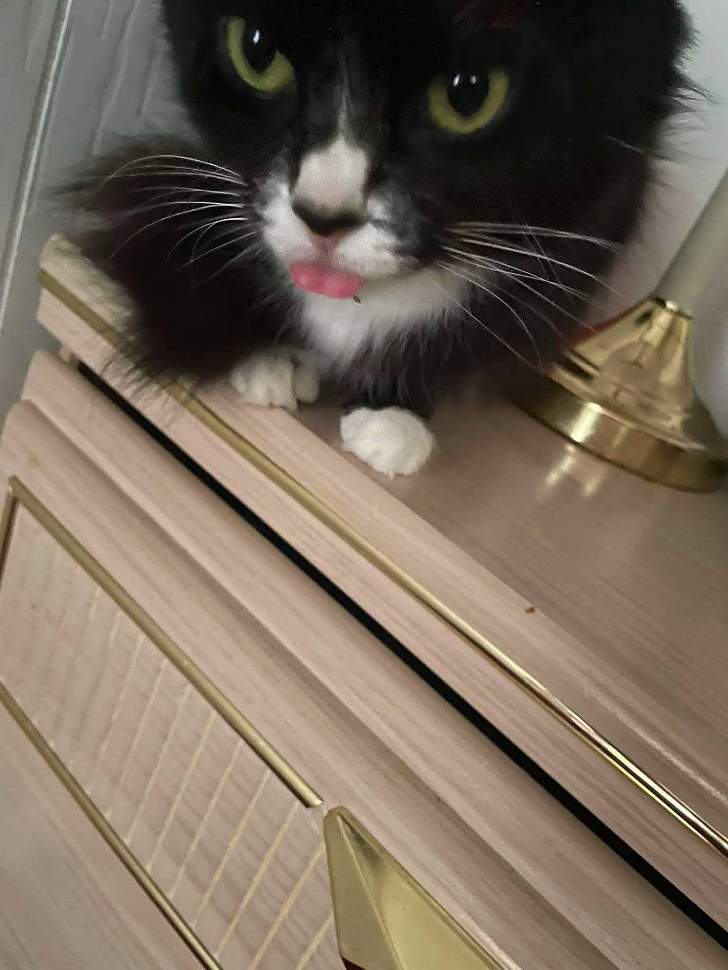 Missy