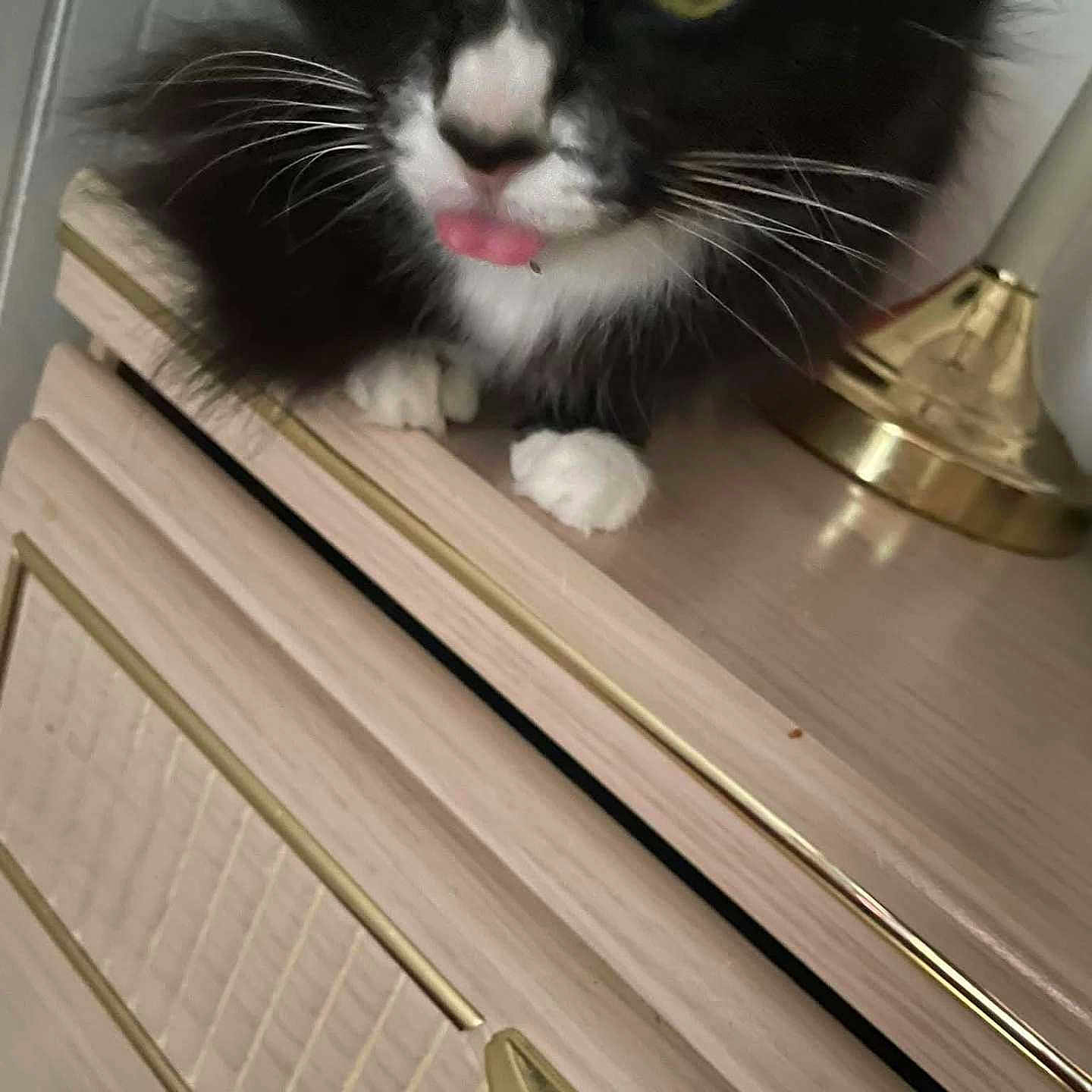 Missy