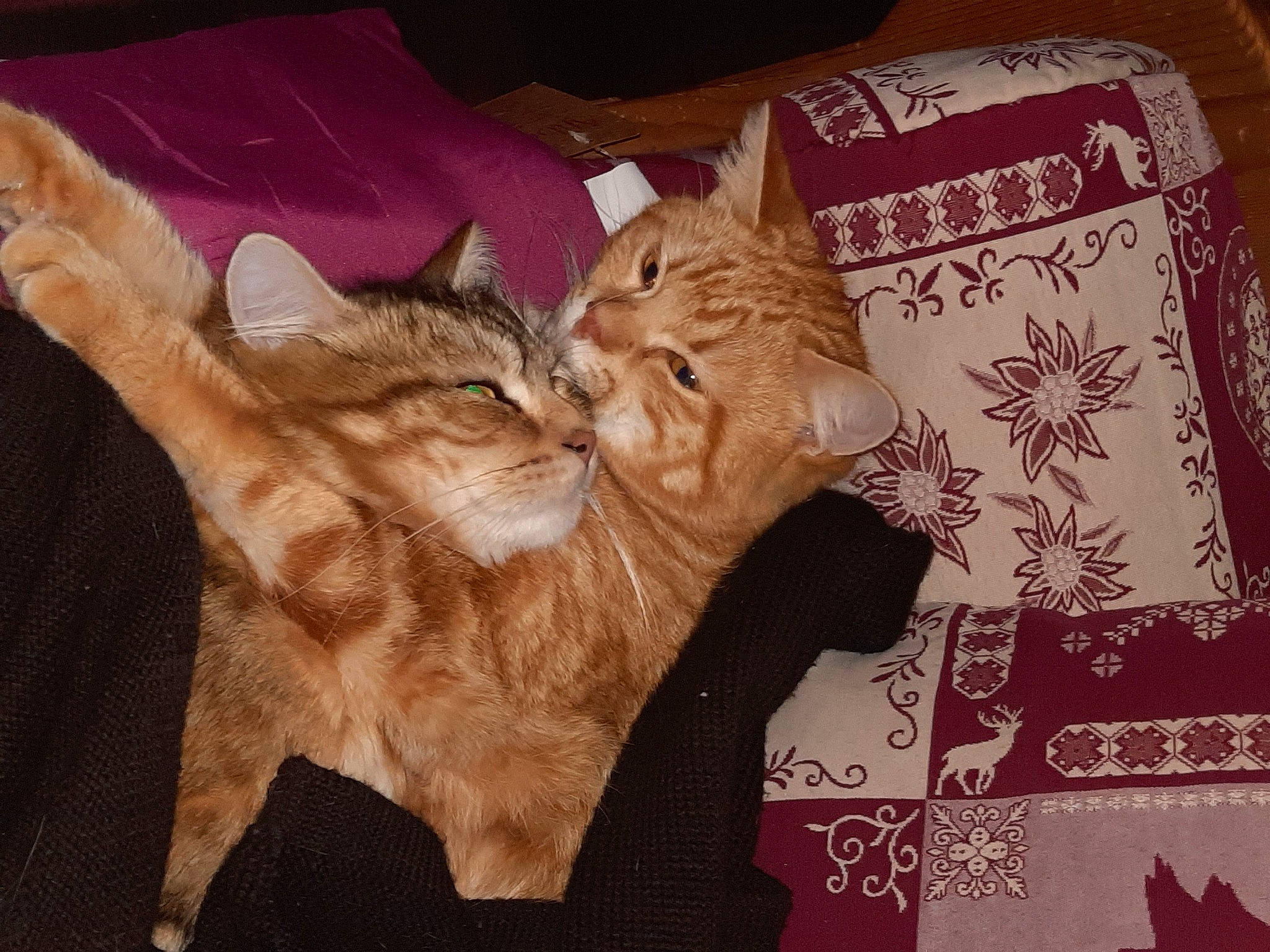 Toby participe au concours pour gagner de l'argent avec cette photo : art, carnivore, cat, claw, comfort, domestic_short_haired_cat, fawn, felidae, fur, gesture, linens, nap, pattern, paw, small_to_medium_sized_cats, tail, visual_arts, whiskers