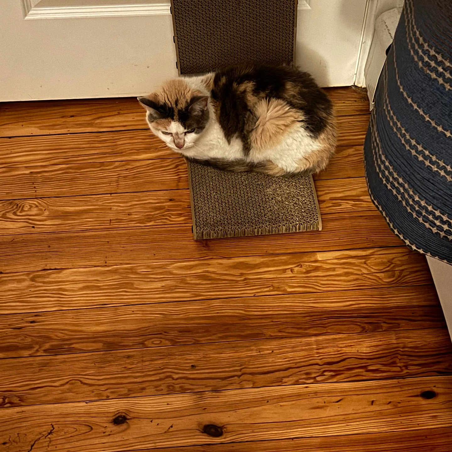 Loaf