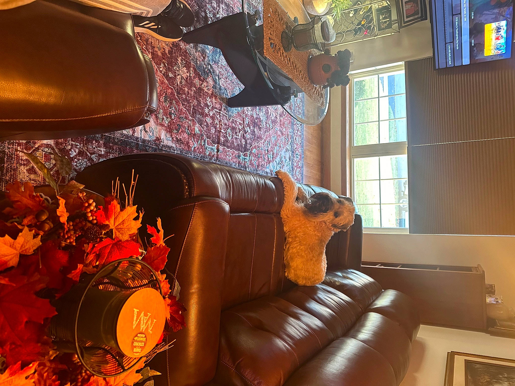 Winston Alexander joined the competition — help win amazing prizes! art, brown, ceiling, chair, classic, comfort, couch, flooring, hardwood, interior_design, lamp, living_room, metal, orange, picture_frame, room, studio_couch, tints_and_shades, window, wood