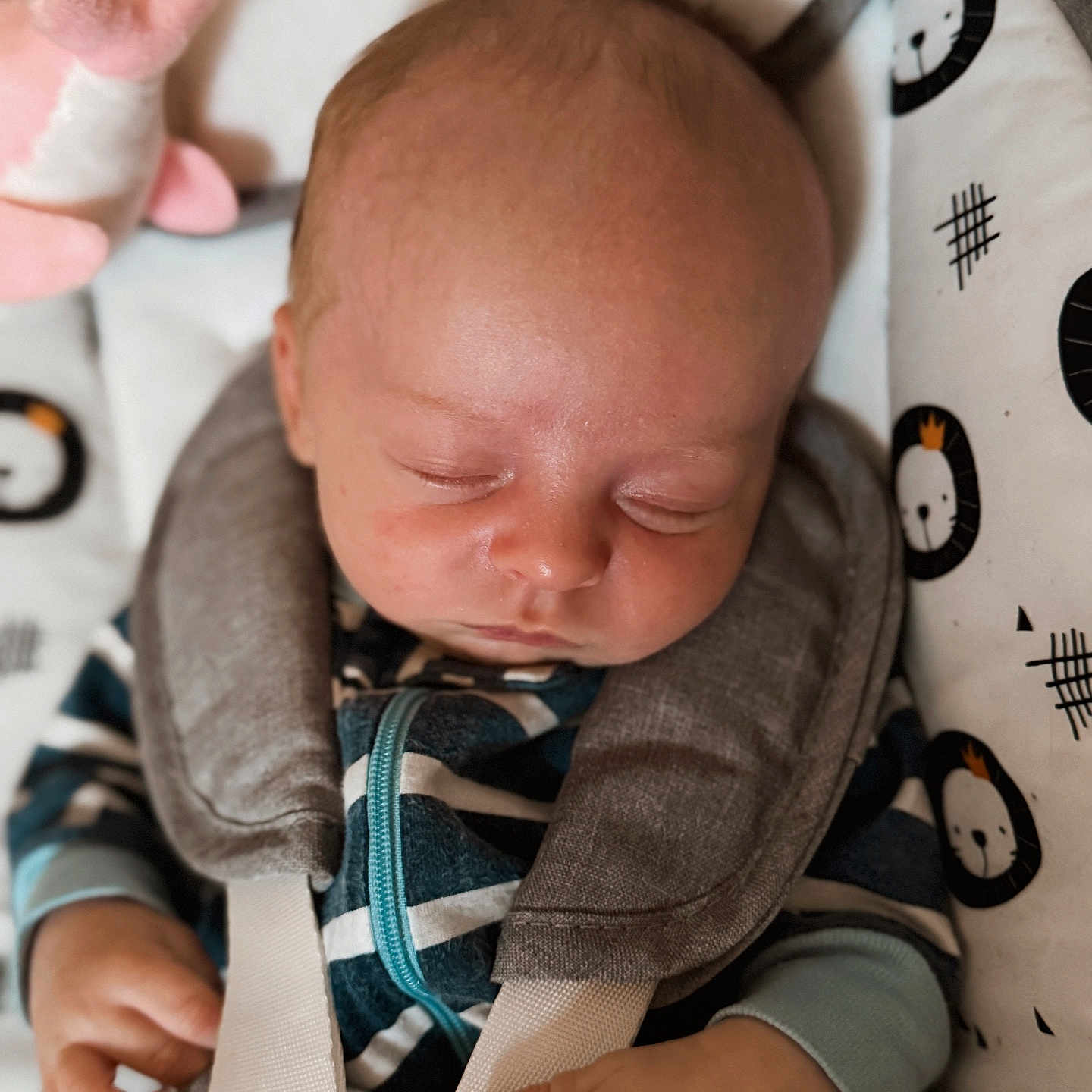Zander joined the competition — help win amazing prizes! baby, blanket, car_seat, child, closeup, clothing, comfort, cute, fabric, face, hand, indoor, infant, pattern, peaceful, plush_toy, resting, sleeping, straps, young_child