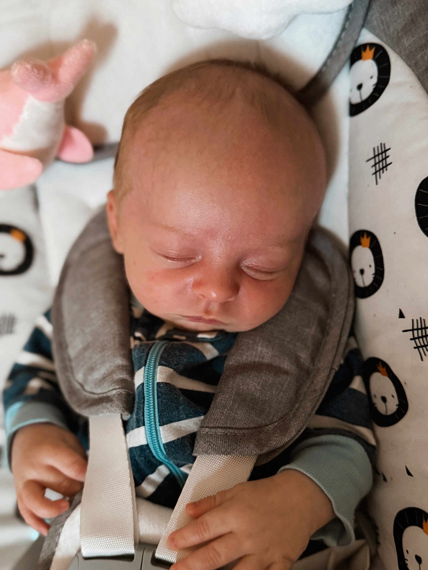 Zander joined the competition — help win amazing prizes! baby, sleeping, car_seat, child, infant, plush_toy, straps, clothing, face, hand, blanket, pattern, fabric, cute, peaceful, young_child, closeup, indoor, comfort, resting