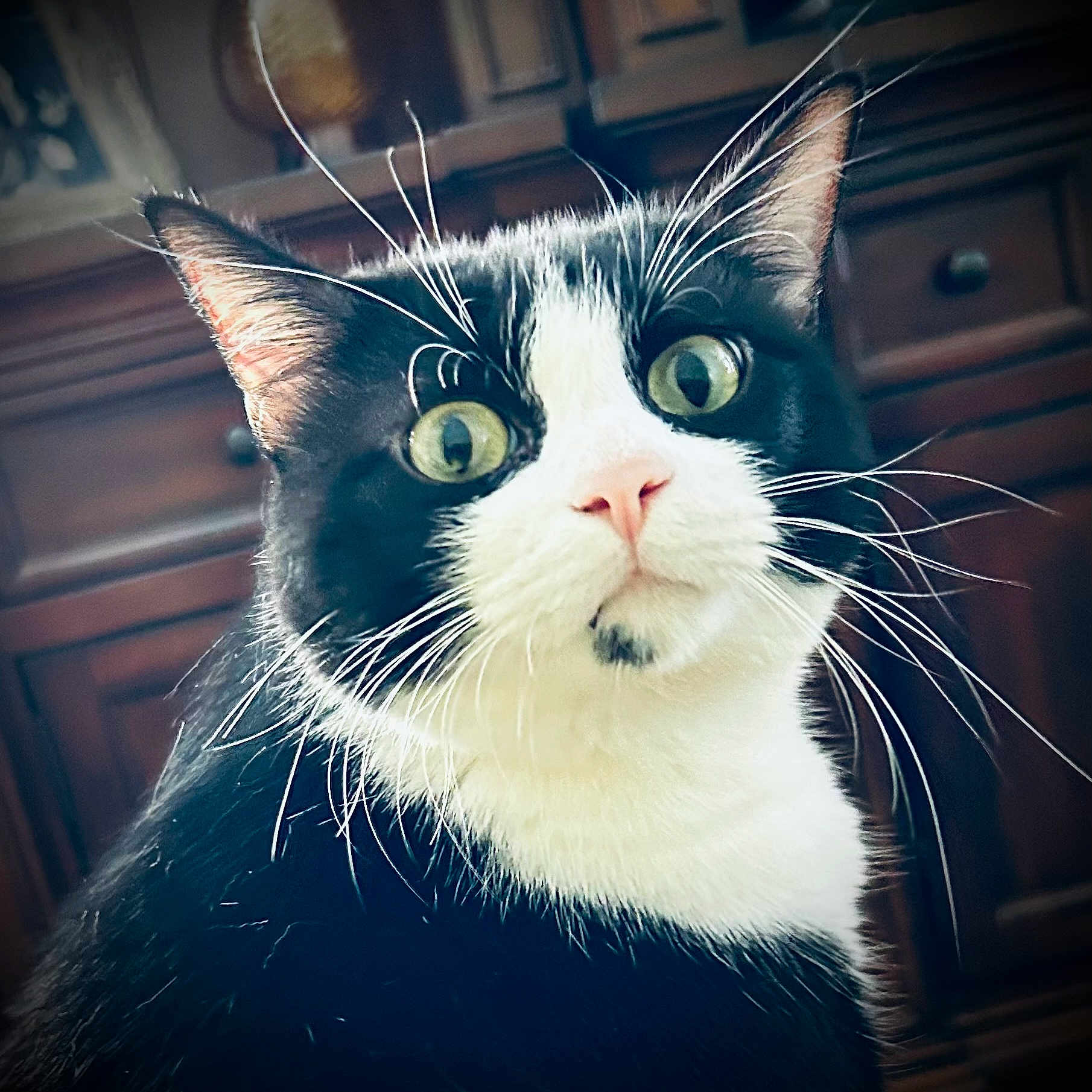 Pepper