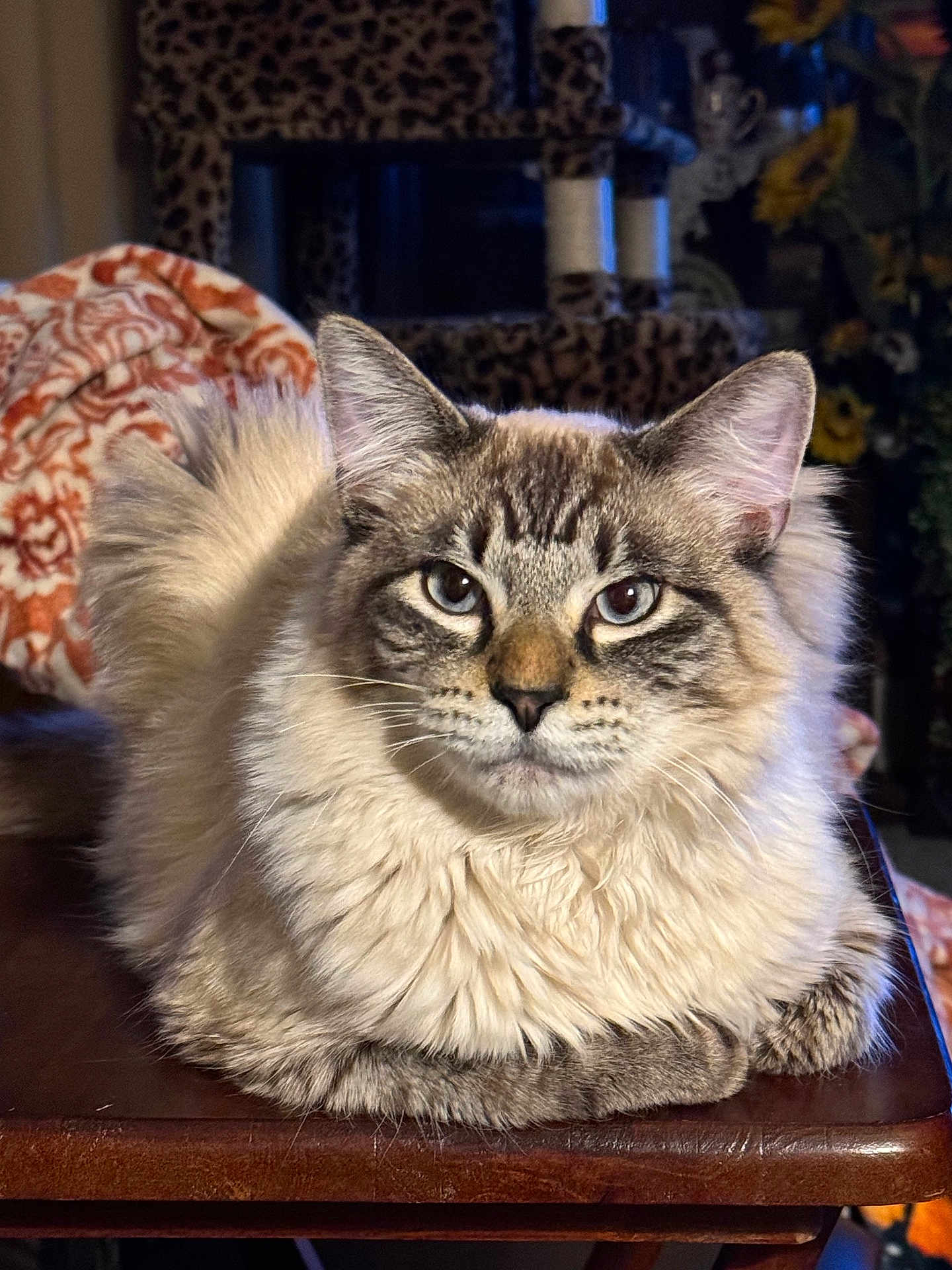 Smudge