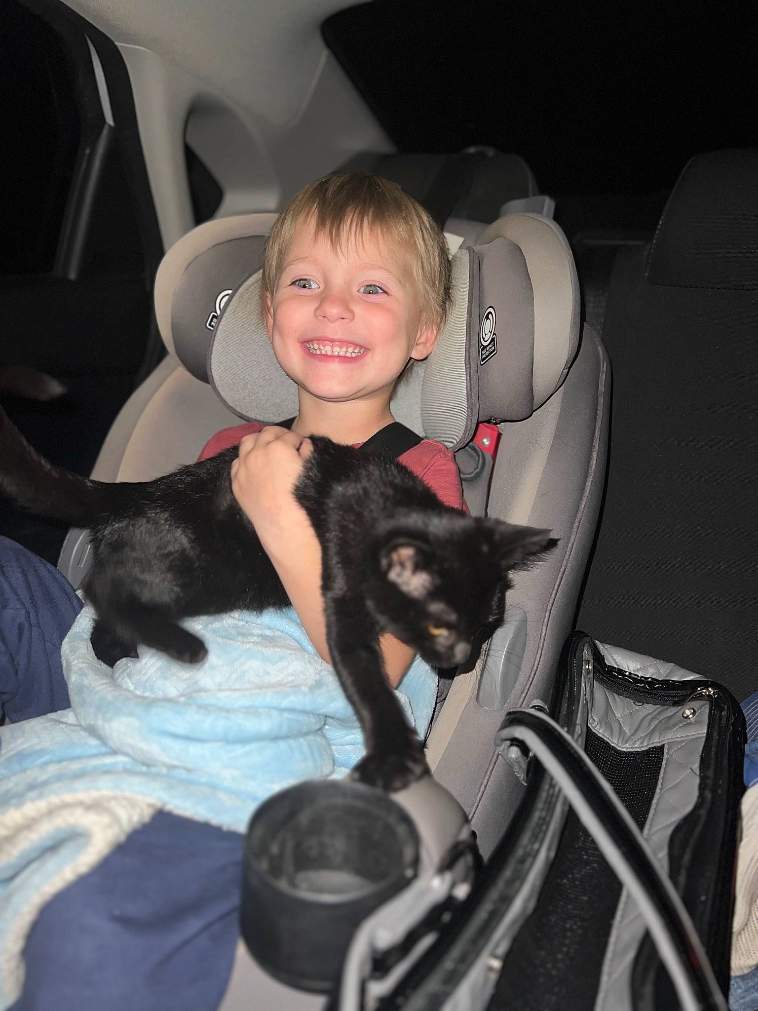 Ezra joined the competition — help win amazing prizes! auto_part, automotive_design, automotive_exterior, car_seat, car_seat_cover, carnivore, child, comfort, companion_dog, dog_breed, family_car, felidae, joy, lap, luxury_vehicle, motor_vehicle, person, personal_luxury_car, smile, steering_wheel