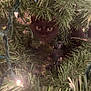 cat, black_cat, christmas_tree, pine_needles, holiday_lights, greenery, animal_face, curious, pet, indoor, closeup, festive, decorations, nature, wildlife, cute, eyes, christmas, tree_branches, hidden